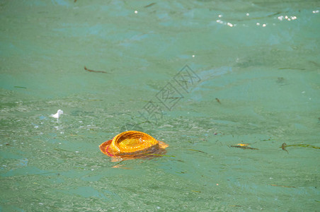 2015年6月20日在威尼斯的大运河上漂浮的被一名游客图片