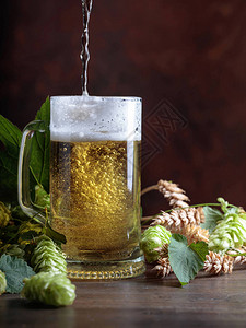 啤酒倒在杯子上啤酒谷物和棕色背景的酒图片
