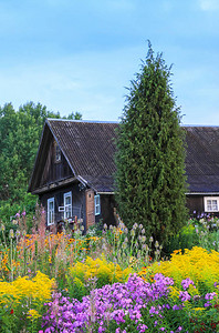乡村风景与古老的木制农村房屋建筑明亮的野花和清凉图片
