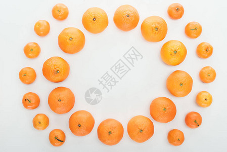 带复制空间的白色背景上的成熟橙色橘红背景图片