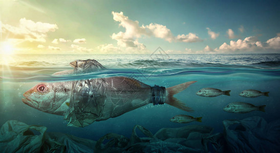 鱼类在塑料海洋污染中游图片