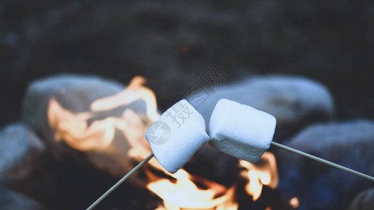 在营火上烧烤棉花糖图片