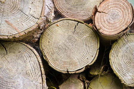柴冬天的堆积木柴图片