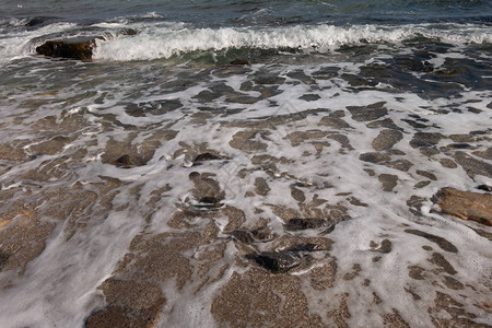 在阳光明媚的春日海滨和海滩和大海浪在沙质和多岩石的海岸上奔跑图片