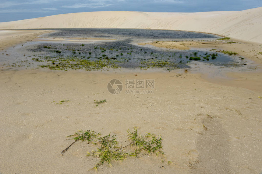 巴西兰科瓦马兰亨内斯公园中沙图片