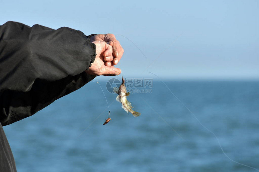 他把鱼带到了钓竿上握在手里试图把它图片