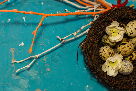 巢中的鹌鹑蛋彩色干树枝复活节快乐图片