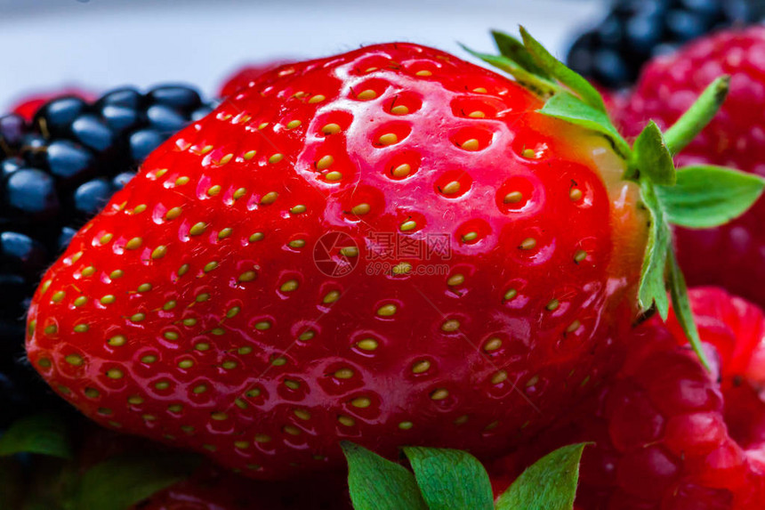 Raspberry黑莓和草莓在盘子上摆放图片