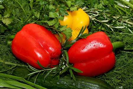 新鲜的健康蔬菜和蔬菜甜椒黄瓜莳萝公鸡图片