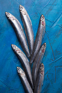 一组凤尾鱼漂浮在蓝色背景垂直相片上捕获于爱奥尼亚海的鱼意大利背景图片