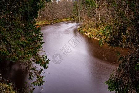 秋天的森林河流含深褐色图片