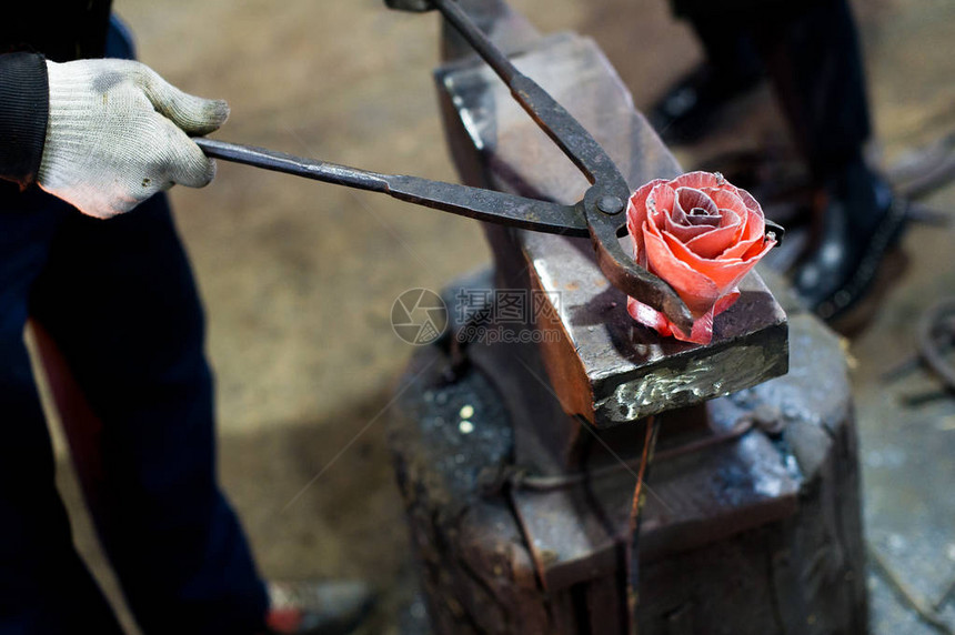 铁匠在铁砧上锻造钢玫瑰图片