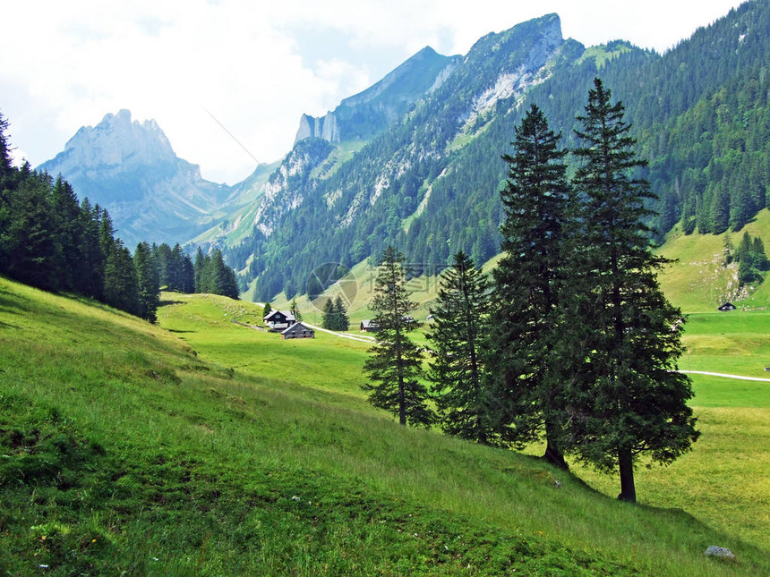 山脉斜坡上的高山牧场和草地图片