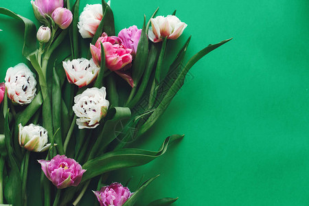 你好春天时尚贺卡美丽的双牡丹郁金香平铺在绿纸上图片