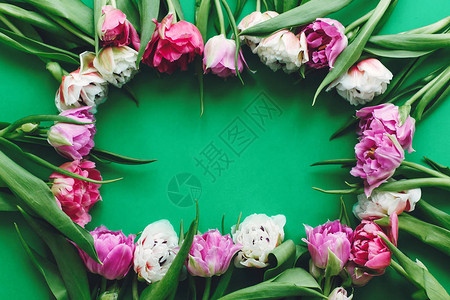 你好春天时尚花卉贺卡美丽的双牡丹郁金香框平铺在绿纸上图片