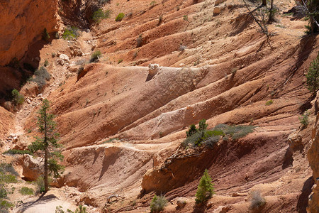 BryceCanyon公园犹图片