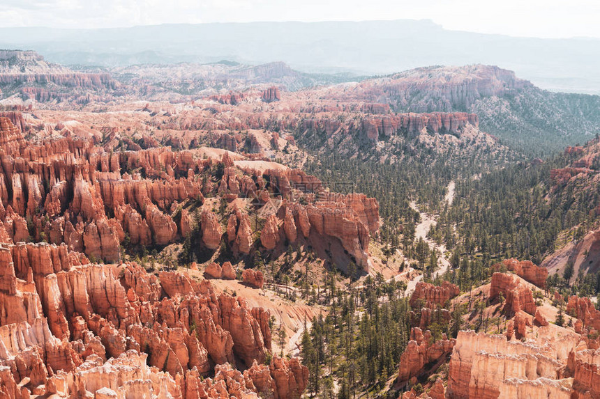 阳光明媚的BryceCanyon公园用于拍照图片