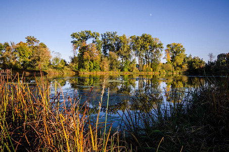 明尼苏达州普利茅斯湖公园的美景秋天图片