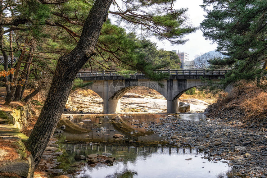 南韩Tongdosa寺庙入口附近的MupunghansongGil路松树林小中一条小图片