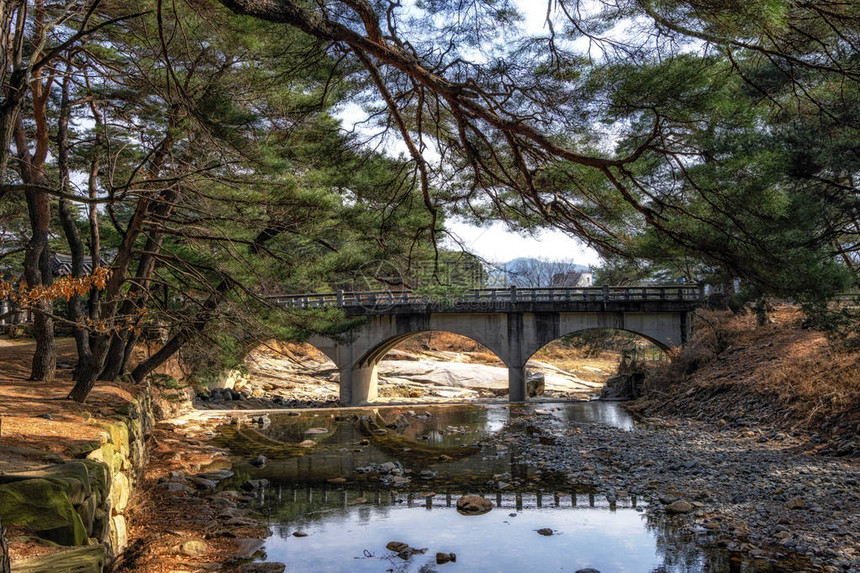 南韩Tongdosa寺庙入口附近的MupunghansongGil路松树林小中一条小图片