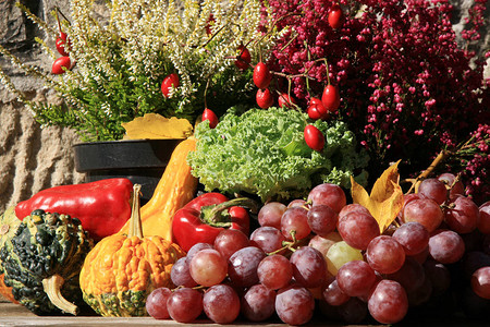 波兰农场风景如画的小装饰与石南花组成的蔬菜秋天的庄稼背景图片