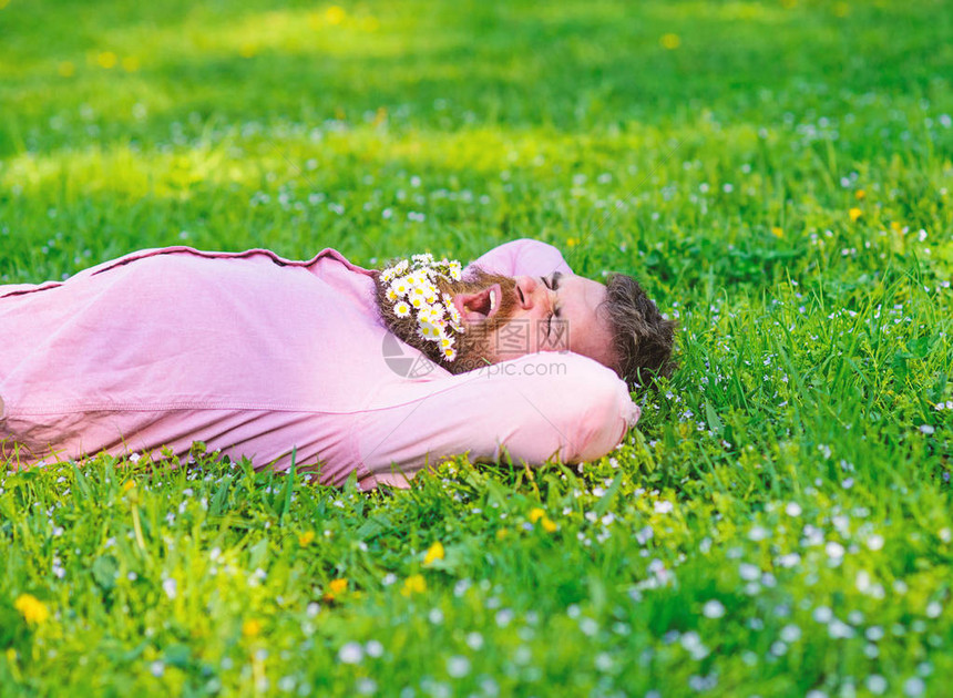 打呵欠的脸上留着胡须的男人享受大自然放松的概念留着胡须雏菊花的大胡子男人躺在草地上图片