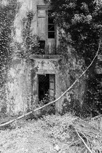 废弃的建筑立面黑白图片