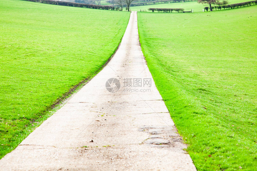 绿草地上的乡间小路图片