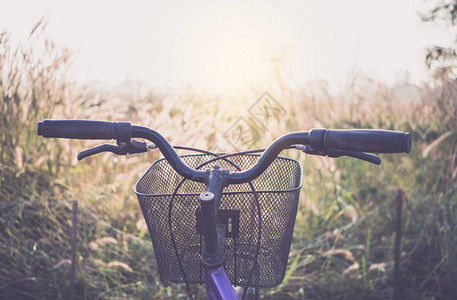 早上骑着草花的自行车图片