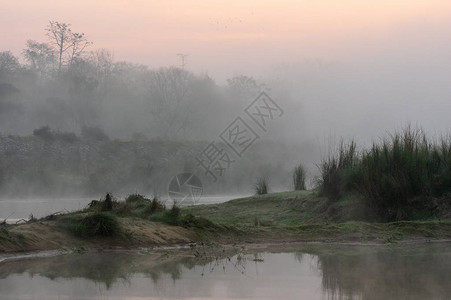 清晨日出时雾气在的河水中升起图片