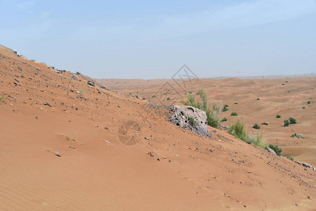 Rock和Sharjah沙漠地区图片