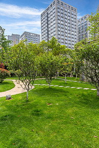 上海办公区的绿色花园图片