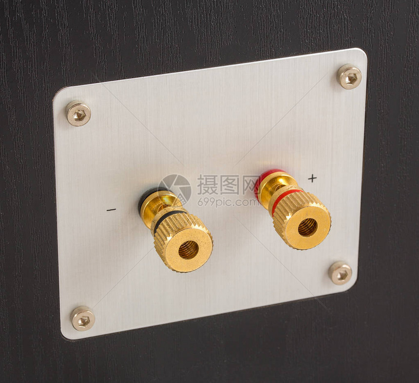 扬声器背面的金色扬声器输出端子用于连接扬声器系统背面的电缆或图片