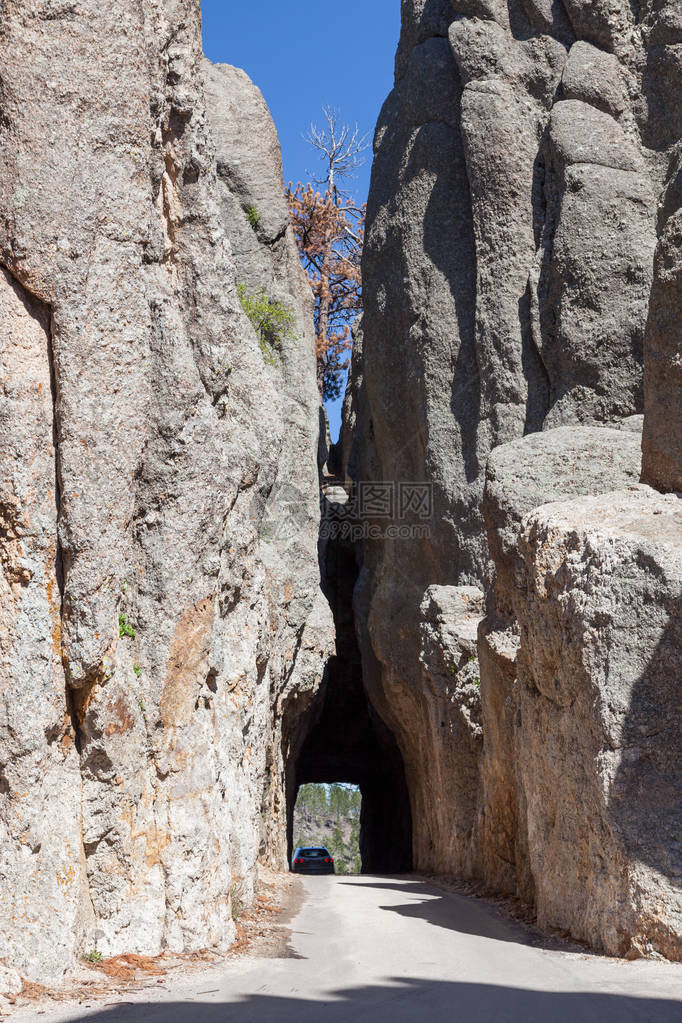 在南达科他州卡斯特州立公园的春天由坚固岩图片