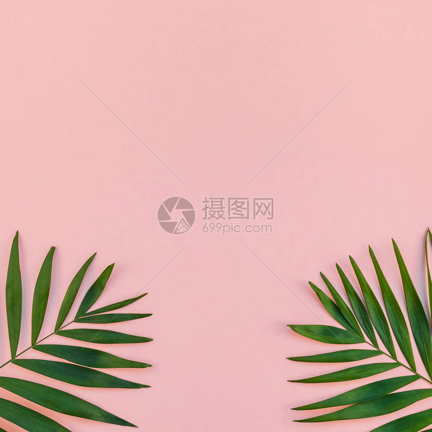 绿色热带棕榈叶千禧粉纸背景与菠萝复制空间的创意平躺顶视图用于文本或设计的最小热带棕榈叶植物图片