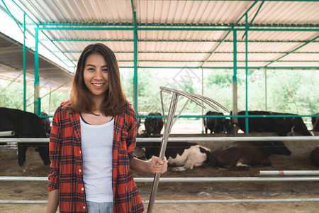 美丽的亚洲妇女或农民与奶牛在奶牛场农业和畜牧图片