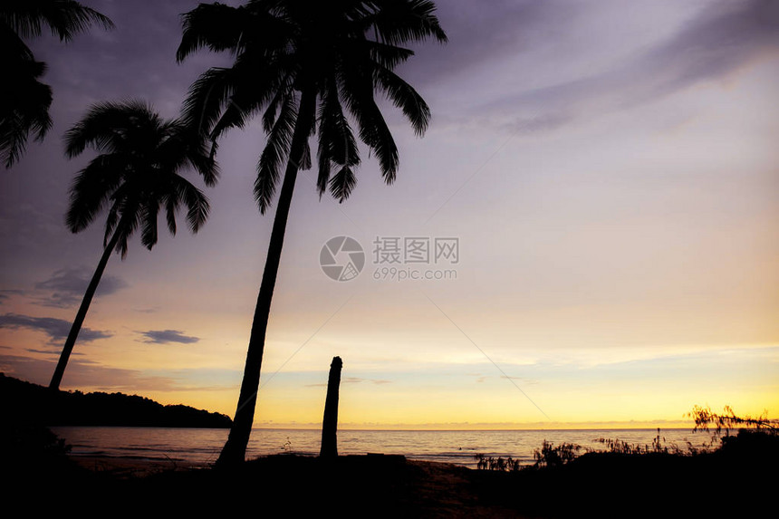 与天空的海中棕榈树的剪影图片