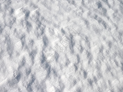 雪与寒冬太阳的光照反射雪图片