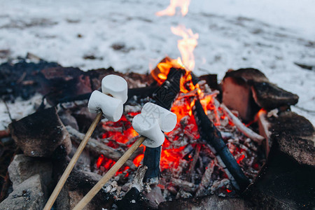 在冬季森林的火灾中烤棉花糖底图片
