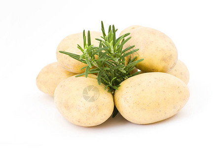 土豆和新鲜迷迭香图片