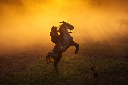 牛仔把马骑在日落时两英尺内背着灰图片