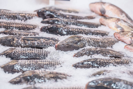 冰中超市展示的一条鱼的特写镜头鲜鱼健康饮食图片