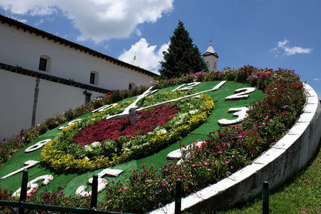 市中心广场的花卉时钟图片