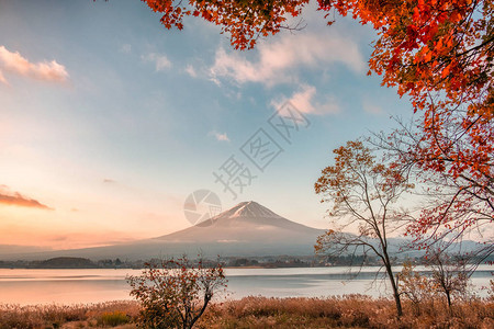 日本河口湖秋天枫叶覆盖的富士山图片