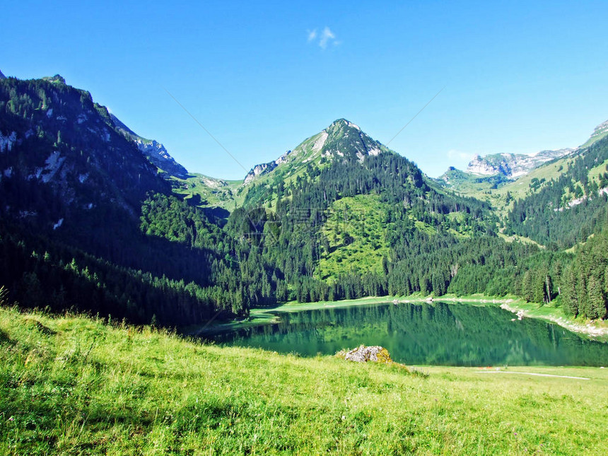 瑞士圣加仑州莱茵河谷Grabs村上方的阿尔卑斯湖Vor图片