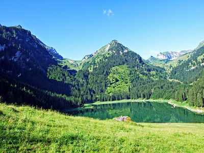 瑞士圣加仑州莱茵河谷Grabs村上方的阿尔卑斯湖Vor图片