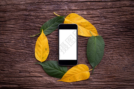 智能手机手机手机和木桌上的叶子循环框架背景上的空白图片