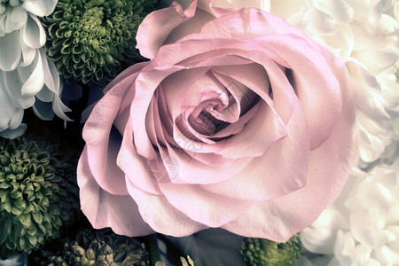 花束中美丽的粉红色玫瑰和其他花朵一图片