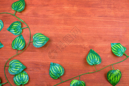 木桌上的绿色塑料叶子图片