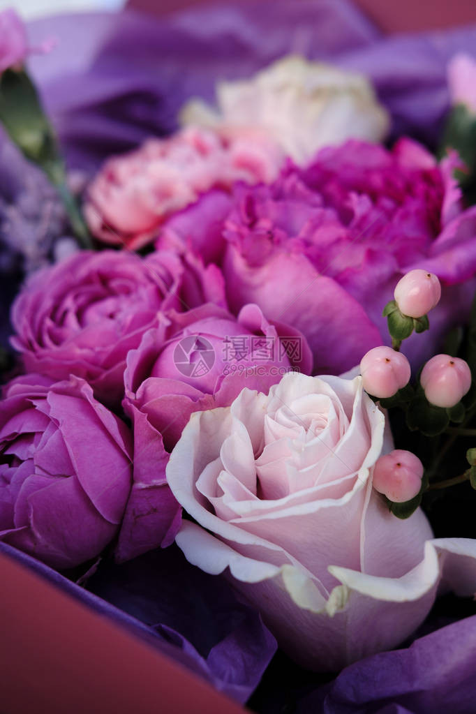 粉红色和紫色的玫瑰花束女人在花店准备花束特写母亲节图片